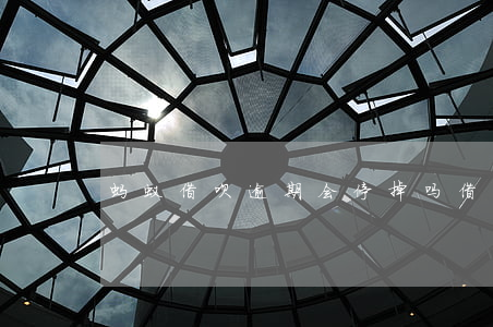 蚂蚁借呗逾期会停掉吗(借呗逾期会关掉吗)