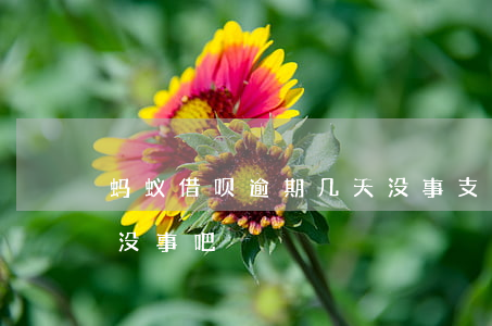 蚂蚁借呗逾期几天没事(支付宝借呗逾期一天没事吧)