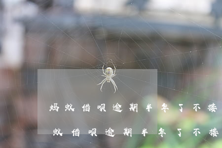 蚂蚁借呗逾期半年了不接电话会怎么样-蚂蚁借呗逾期半年了不接电话会怎么样吗