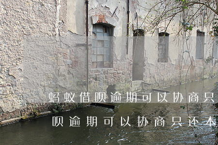 蚂蚁借呗逾期可以协商只还本金吗-蚂蚁借呗逾期可以协商只还本金吗