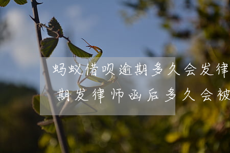 蚂蚁借呗逾期多久会发律师函(支付宝借呗逾期发律师函后多久会被起诉)