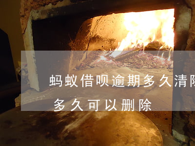 蚂蚁借呗逾期多久清除完(借呗逾期记录一般多久可以删除)