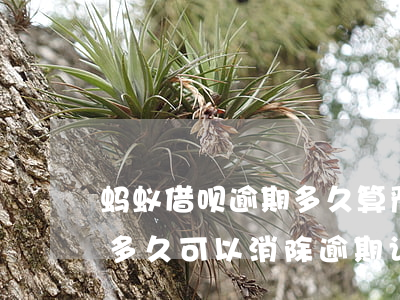 蚂蚁借呗逾期多久算严重-蚂蚁借呗逾期后多久可以消除逾期记录
