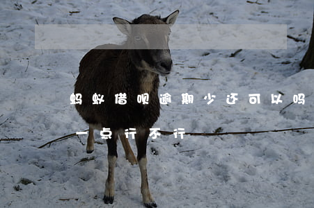 蚂蚁借呗逾期少还可以吗(借呗逾期每个月还一点行不行)