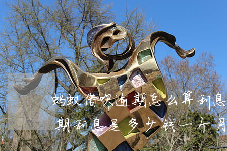 蚂蚁借呗逾期怎么算利息(支付宝借呗如果逾期,利息是多少钱一个月)