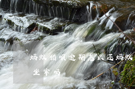 蚂蚁借呗逾期怎么还(蚂蚁借呗逾期还不上会坐牢吗)