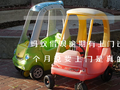 蚂蚁借呗逾期有上门过吗(支付宝借呗逾期一个月说要上门是真的吗)