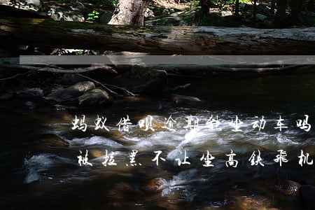 蚂蚁借呗逾期能坐动车吗(借呗逾期90天会被拉黑不让坐高铁飞机?)