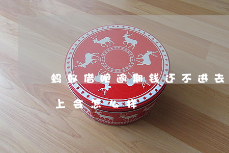 蚂蚁借呗逾期钱还不进去(借呗的钱逾期还不上会怎么样)