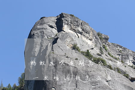 蚂蚁发呗逾期怎么还款(支付宝借呗逾期要求一次性还钱怎么办)
