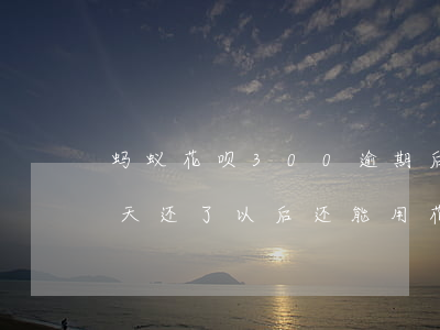 蚂蚁花呗300逾期后果(花呗逾期300多天还了以后还能用花呗吗)