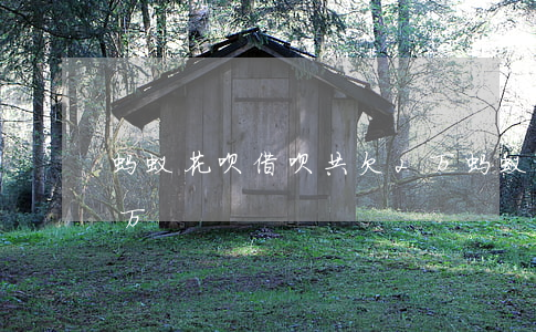 蚂蚁花呗借呗共欠2万(蚂蚁花呗借呗共欠2万)