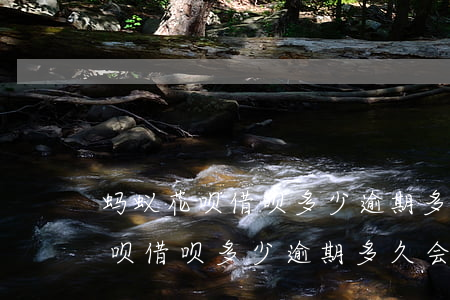 蚂蚁花呗借呗多少逾期多久会起诉-蚂蚁花呗借呗多少逾期多久会起诉