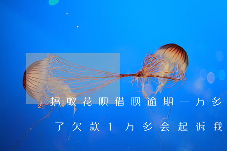 蚂蚁花呗借呗逾期一万多(借呗花呗逾期半年了,欠款1万多会起诉我吗)