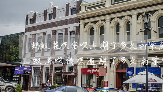 蚂蚁花呗借呗逾期了,多久打紧急联系人-蚂蚁花呗借呗逾期了,多久打紧急联系人电话啊
