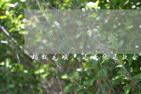 蚂蚁花呗只还最低还款会怎么样-