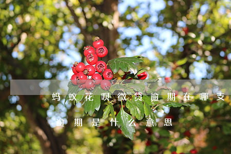 蚂蚁花呗微贷逾期在哪(支付宝显示微贷产品逾期是什么意思)