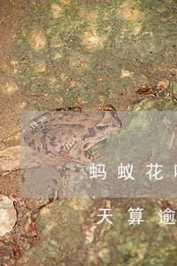 蚂蚁花呗晚一天算逾期吗(支付宝花呗晚还1天算逾期吗)