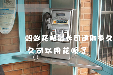 蚂蚁花呗最长可逾期多久(花呗逾期还完了,多久可以用花呗了)