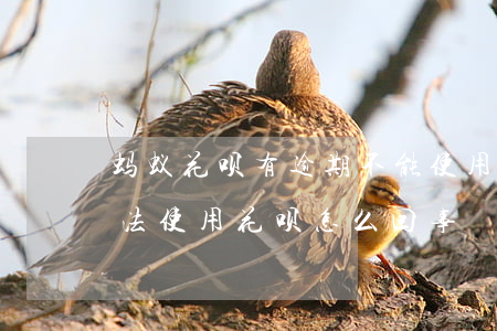 蚂蚁花呗有逾期不能使用(花呗有产品逾期无法使用花呗怎么回事)