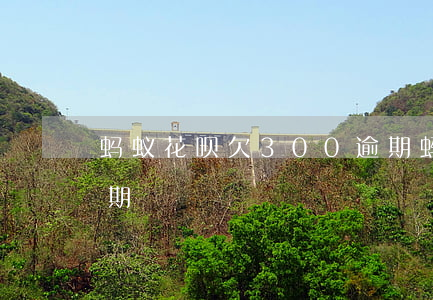 蚂蚁花呗欠300逾期(蚂蚁花呗欠300逾期)