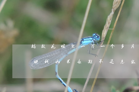 蚂蚁花呗欠一万一个多月没还(花呗欠了1千块钱如果长期不还怎么样)