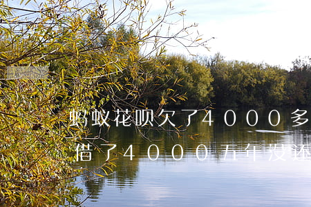 蚂蚁花呗欠了4000多一年没还(蚂蚁花呗借了4000五年没还)