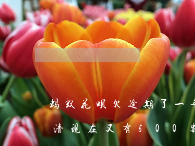 蚂蚁花呗欠逾期了一年(花呗逾期几年了没还清,现在又有500额度)