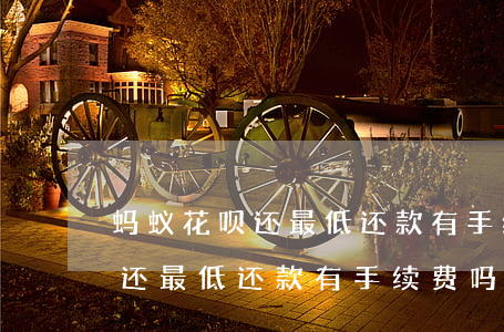 蚂蚁花呗还最低还款有手续费吗-蚂蚁花呗还最低还款有手续费吗多少钱