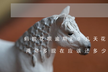 蚂蚁花呗逾期20几天(花呗欠了50逾期了两年多现在应该还多少)