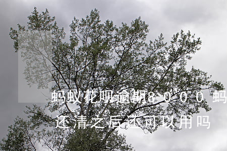 蚂蚁花呗逾期8000(蚂蚁花呗逾期了两年还清之后还可以用吗)
