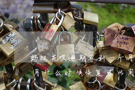 蚂蚁花呗逾期不到一个月(花呗逾期不到1个月什么时候恢复可以用)