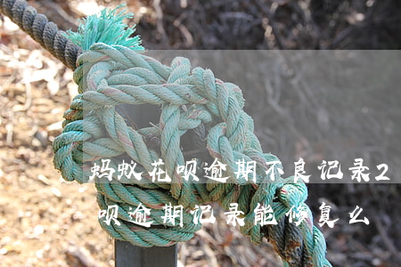 蚂蚁花呗逾期不良记录(2018年支付宝花呗逾期记录能修复么)