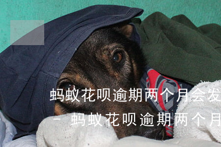 蚂蚁花呗逾期两个月会发告知函给村委会吗-蚂蚁花呗逾期两个月会发告知函给村委会吗是真的吗