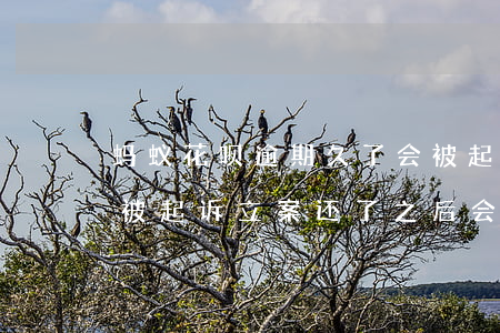 蚂蚁花呗逾期久了会被起诉吗(蚂蚁花呗逾期被起诉立案还了之后会有事吗)