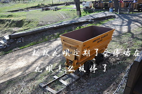 蚂蚁花呗逾期了会停吗(在没有逾期的情况下,花呗怎么被停了)