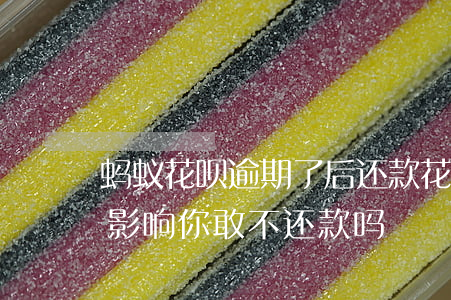 蚂蚁花呗逾期了后还款(花呗逾期还款有什么影响?你敢不还款吗)