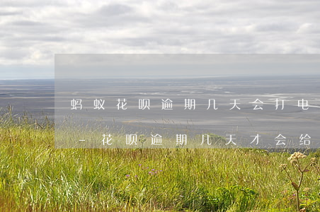 蚂蚁花呗逾期几天会打电话给通讯录的人啊-花呗逾期几天才会给通讯录打电话?