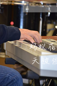 蚂蚁花呗逾期几天怎么样(支付宝花呗逾期几天被催收)