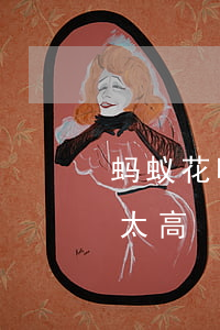 蚂蚁花呗逾期利息太高(支付宝花呗逾期利息太高)