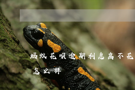蚂蚁花呗逾期利息高不?(花呗不还或者逾期会怎么样)