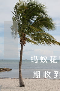 蚂蚁花呗逾期后发律师函然后(支付宝花呗逾期收到律师函)