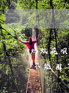 蚂蚁花呗逾期太久会怎样(花呗逾期时间长了不能用了.要多久恢复)