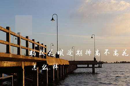 蚂蚁花呗逾期摔高不高(花呗不还或者逾期会怎么样)