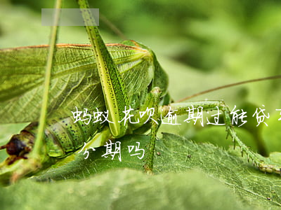 蚂蚁花呗逾期过能贷车贷(花呗逾期可以汽车分期吗)