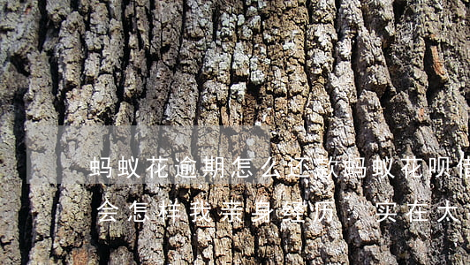 蚂蚁花逾期怎么还款(蚂蚁花呗借呗逾期不还会怎样?我亲身经历:实在太扎心)