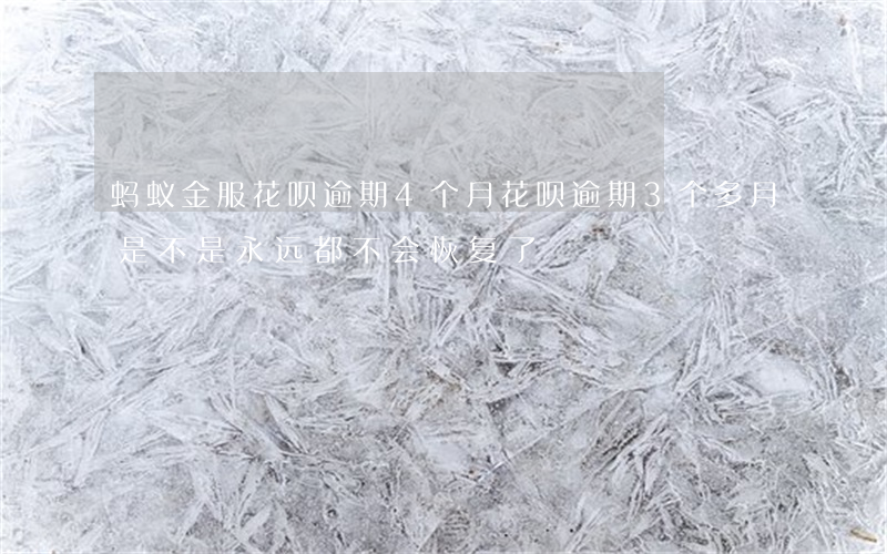 蚂蚁金服花呗逾期4个月(花呗逾期3个多月是不是永远都不会恢复了)
