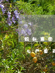 蚂蚁集团 借呗逾期(蚂蚁借呗逾期不还款真这么严重?天了)