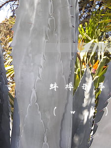 蚌埠刑事案件律師排名(蚌埠最好的律師事務(wù)所在哪里)