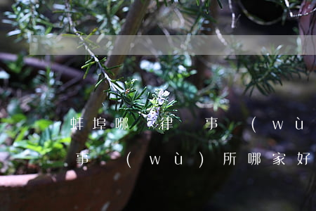 蚌埠哪個律師事務(wù)所好(蚌埠市律師事務(wù)所哪家好)